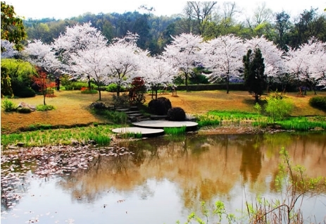 2015年休闲农业地产投资五大模式?--土流网