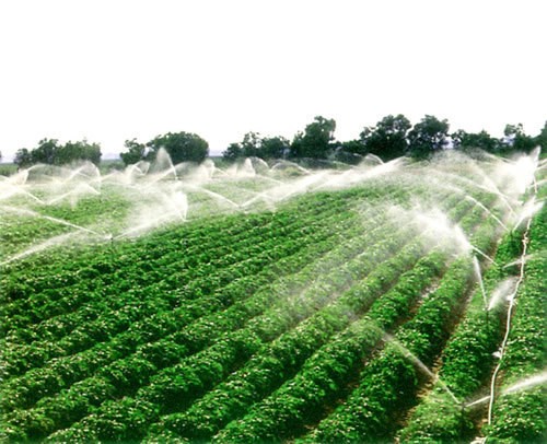 未来农业发展新趋势--庄园经济--土流网