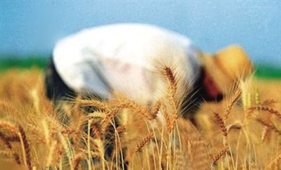 土地流转新政策--土流网