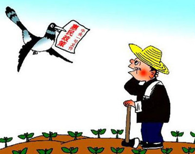 2015农业项目怎么申报?国家扶持补贴政策有哪
