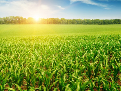 农村土地流转是什么意思?--土流网