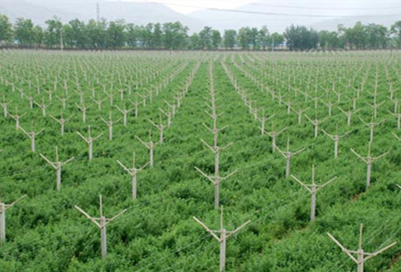 2015年农村土地流转新政策三大突破--土流网