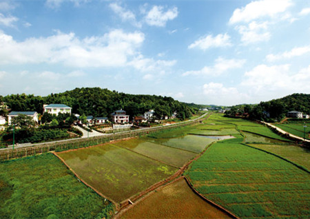 农村土地确权后,流转速度为何会加快?--土流网