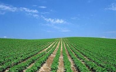 2015农业三项补贴政策做出调整的原因--土流