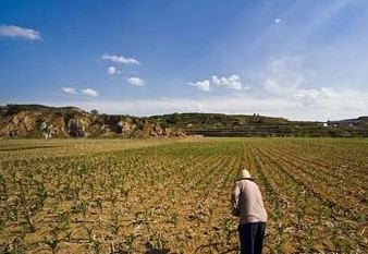 阜阳临泉试点2015农业三项补贴改革--土流网
