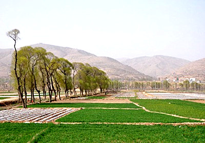 2015年山东潍坊耕地保护补贴调为125元\/亩--土