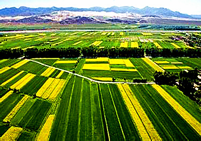 2015年1460万耕地地力保护补贴发放到位,惠及