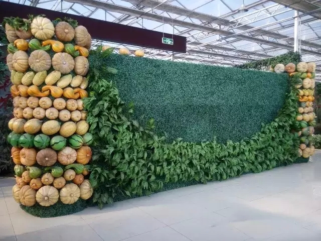 现代化新型农业下的种植模式大全--土流网