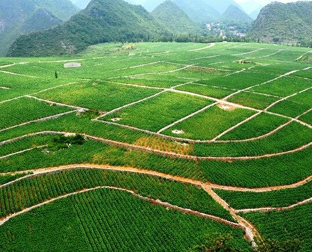 农村土地承包经营权确权登记颁证的操作流程具