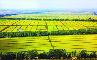 2016年国家扶持新型农业合作示范项目--土流网