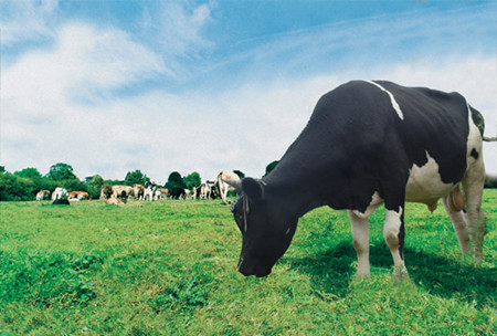 做农业的有福了,看看国家有哪些利好政策!未来