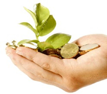 搞农业投资 如何才能坐地生财?--土流网