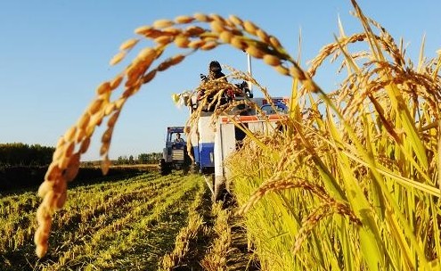 2016农业补贴、粮食调控政策改革 整体方向是
