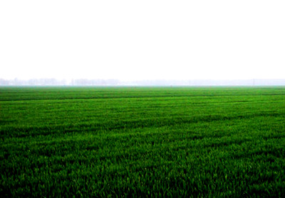 农民土地承包价多少钱一亩?--土流网