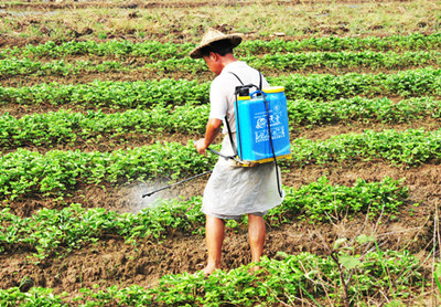 开展土地承包经营权确权登记工作,农户需要做