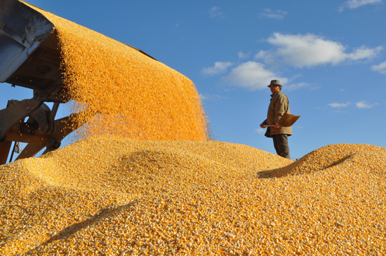 2015年安徽农业补贴政策(农资综合补贴、种粮