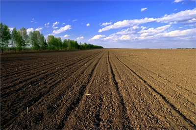 未来农村土地制度改革方向在哪儿?--土流网