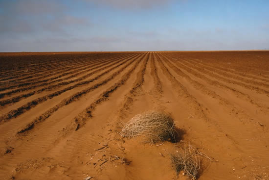 中国土地荒漠化沙化状况仍严重 土地面积连续