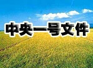 2016年中央一号文件关于土地制度改革和农民