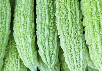 苦瓜原产地是印度 中国苦瓜产地遍布南北--土流