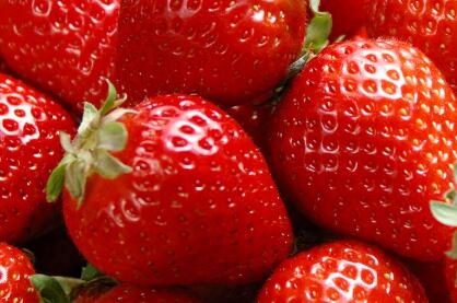 红色珍珠草莓适合什么土壤?--土流网