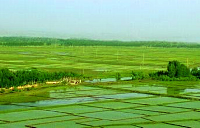 2016年抚顺县农业产业扶持政策--土流网