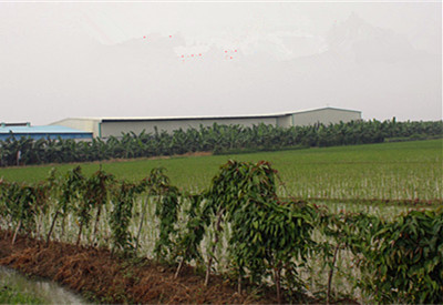 2016年金华婺城区出台保护耕地奖励政策--土流