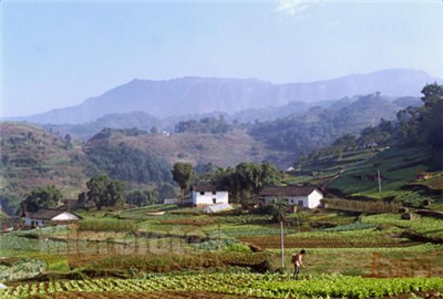 安徽省:关于农村土地整治项目综合审批的办法