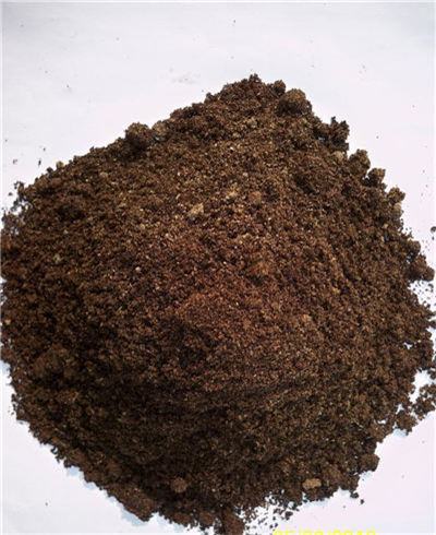 常规育苗营养土该如何配制呢?--土流网