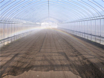 常规育苗营养土该如何配制呢?--土流网