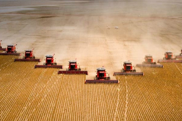 阿根廷农业保险和外商农业投资保险及农业生产政策--土流网