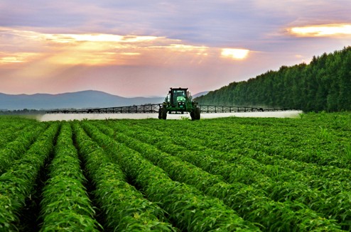 阿根廷农业保险和外商农业投资保险及农业生产