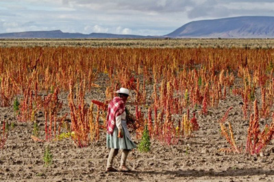 玻利维亚土地政策和农业资源概况--土流网