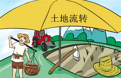 中华人民共和国农村土地承包法(2)--土流网