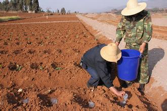 新型农业节水灌溉技术主要有哪些?--土流网
