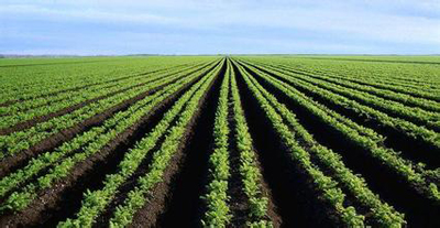 南非农业保险、生产流通政策--土流网