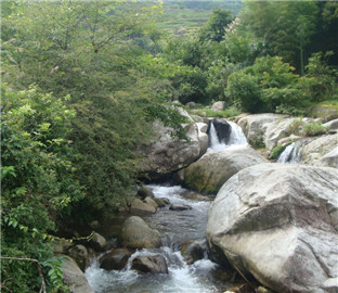 2015年农村土地流转补偿标准有哪些?补偿价格