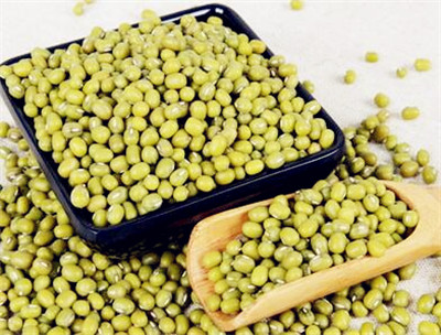 绿豆高产种植技术及田间管理办法--土流网