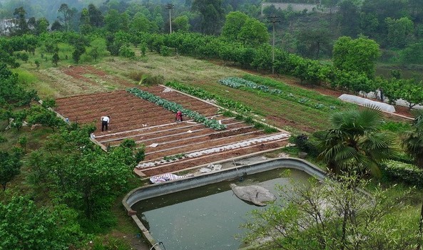 家庭农场开创新型农业经营体系--土流网