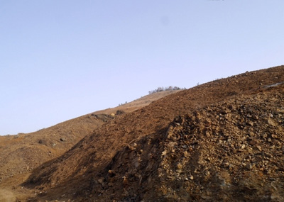 《土地管理法》释义:第四十条(国有荒地农业开