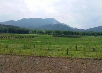 《土地管理法》释义:第六条(遵守土地管理法)-