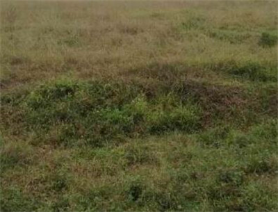 2016《关于农村土地征收、集体经营性建设用