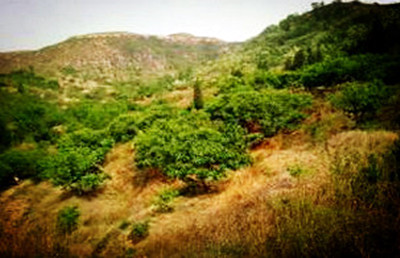 山东13个县(市、区)试点2016宅基地耕地抵押贷