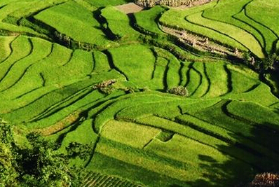 2016年福建省实施山水林田湖修复工程--土流网