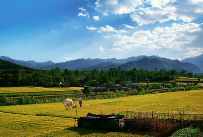 山东省农业项目补贴最新消息及政策解读--土流