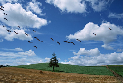 2016年浙江省农业项目补贴最新消息及政策解