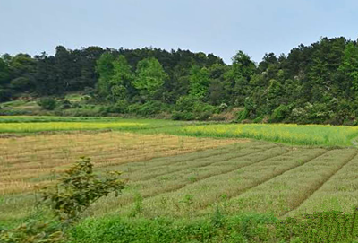 《土地利用年度计划管理办法》第三次修订后施
