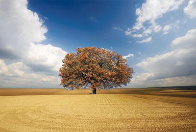 宁夏省银川市农村土地确权最新消息及政策解读