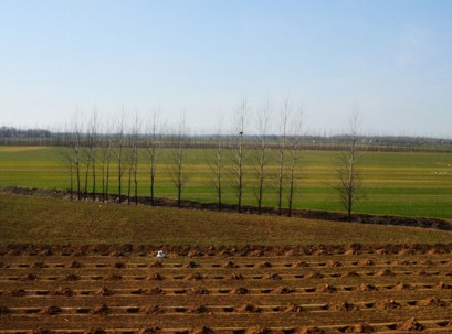 6年修订完整的《土地利用年度计划管理办法》