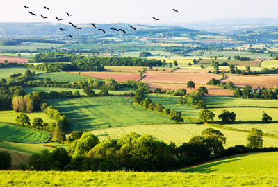 2016吉林省关于进一步规范设施农用地管理--土